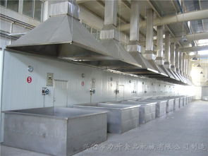 泉州高性價比噴碼機配套設備廠家直銷，助力蔬菜行業高效標識