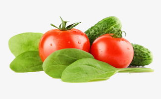 探索綠色蔬菜之美 高清免費素材圖推薦