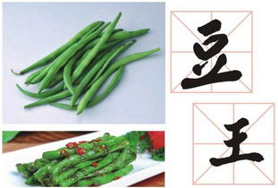 搶年貨 藍天農業園精品蔬菜箱開始搶購啦！